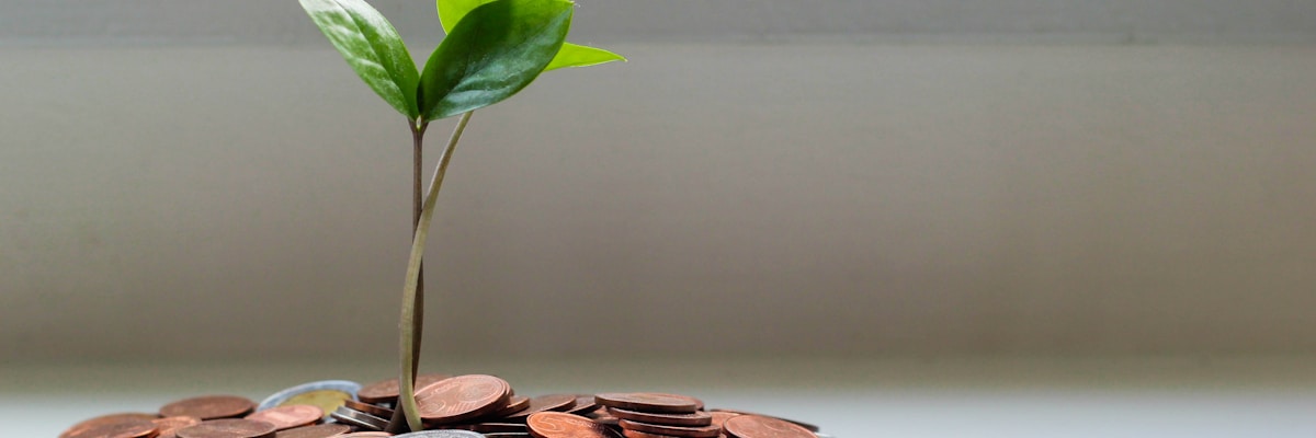 Robot de détection de dette fiscale entreprise